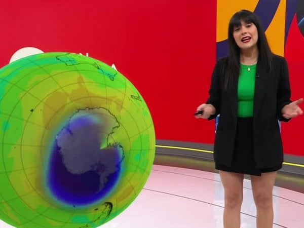 Noticiero 24 Horas Central con los temas de Conciencia 24.7 del 6 de febrero.