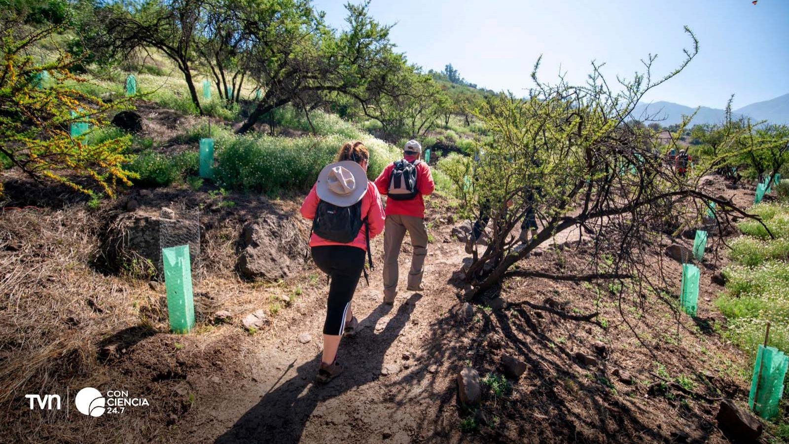 Trekking en Parque Cantalao, Pañalolén.