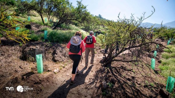 Trekking en Parque Cantalao, Pañalolén.