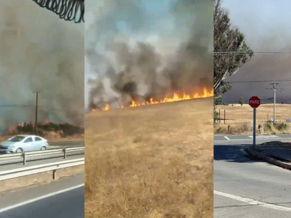 evacuacion-incendio-forestal-sectores-puren