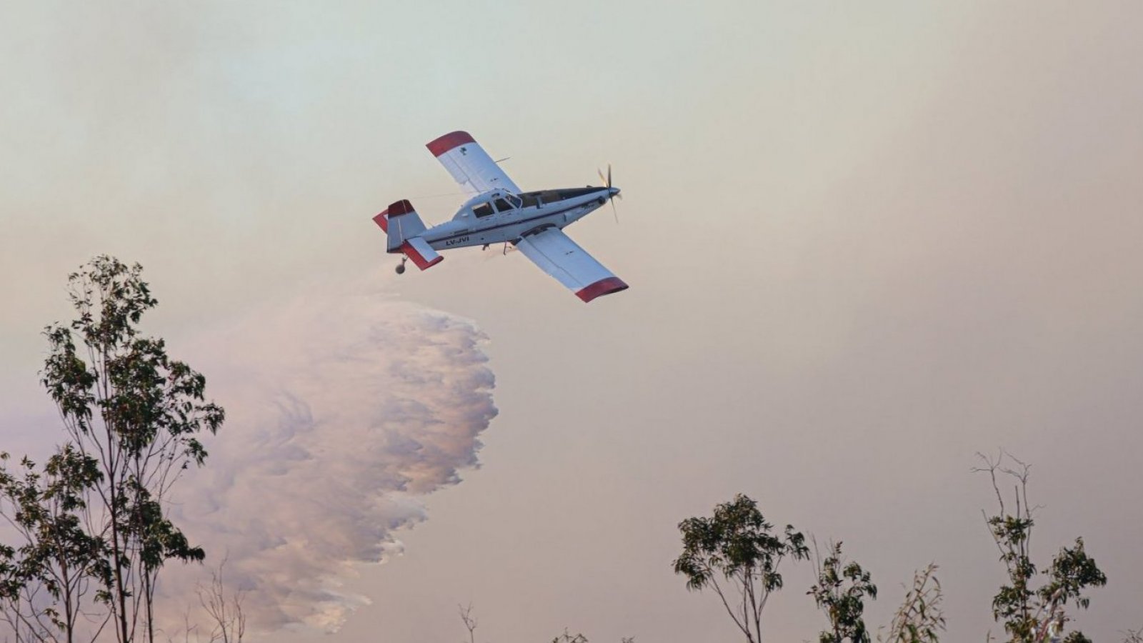 ultimas-actualizaciones-incendios-forestales-alertas-evacuacion
