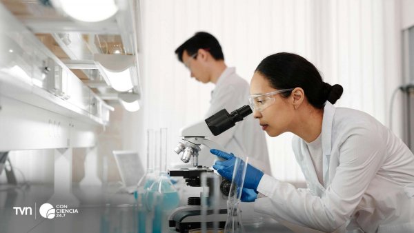 Mujeres científicas en un laboratorio trabajando en proyectos de innovación y tecnología.