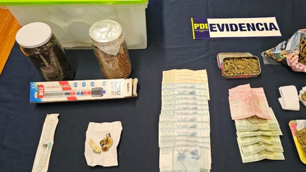 detectives-incautan-hongos-alucinogenos-pitrufquen