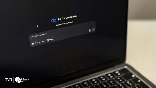 Pantalla con el logo de DeepSeek en fondo oscuro.