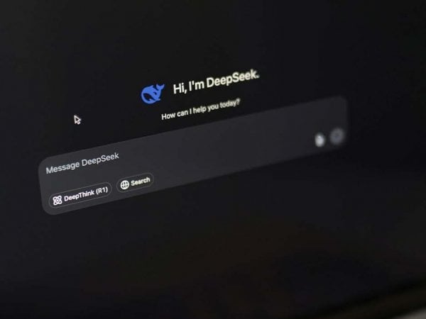 Pantalla con el logo de DeepSeek en fondo oscuro.