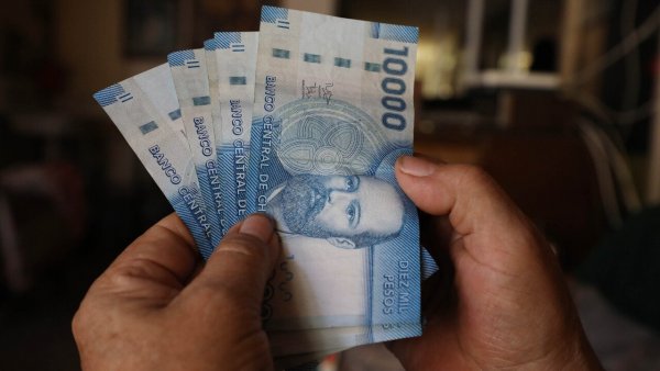 Consulta con tu RUT por el Aporte Familiar Permanente 2025