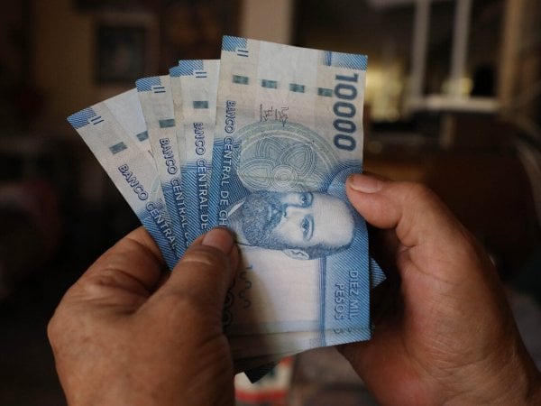 Consulta con tu RUT por el Aporte Familiar Permanente 2025