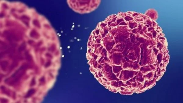 Célula de cáncer