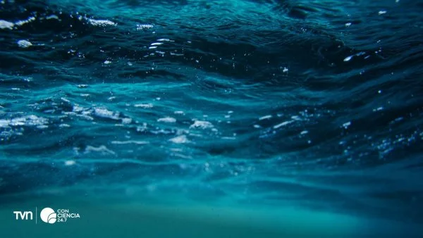 Mapa del Golfo de Arauco destacando las zonas afectadas por la hipoxia con datos de temperatura y oxígeno disuelto.