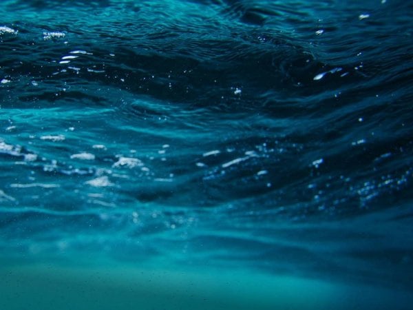 Mapa del Golfo de Arauco destacando las zonas afectadas por la hipoxia con datos de temperatura y oxígeno disuelto.