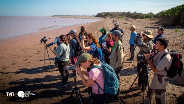 Personas observando aves en la desembocadura del río Maipo durante el Festival de Aves del Maipo 2025.