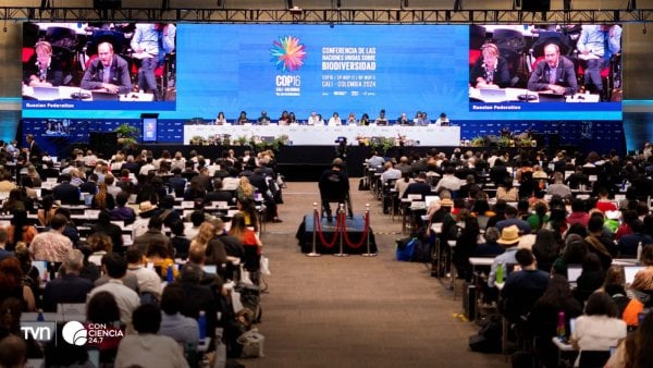 Imagen de la COP 16 realizada en Colombia.