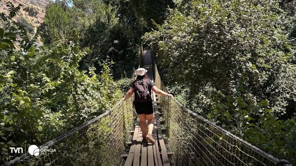 Mujeres realizando trekking al atardecer en Parque Cordillera, rodeadas de naturaleza.