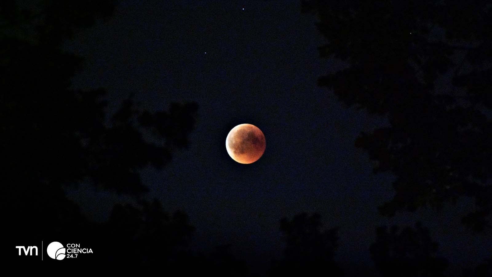 Luna de Sangre, 14 de marzo, 2025.