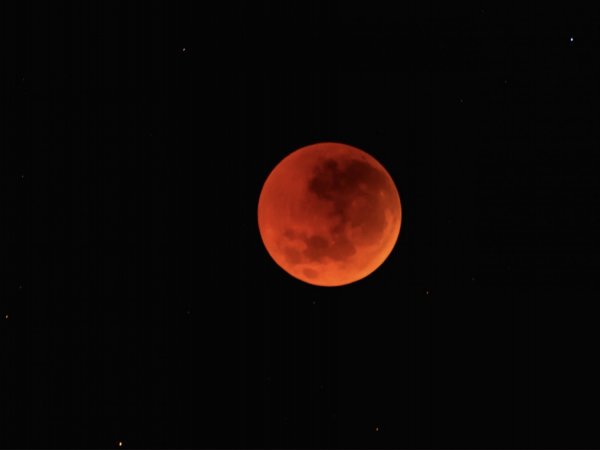 Eclipse lunar total - luna de sangre 2025