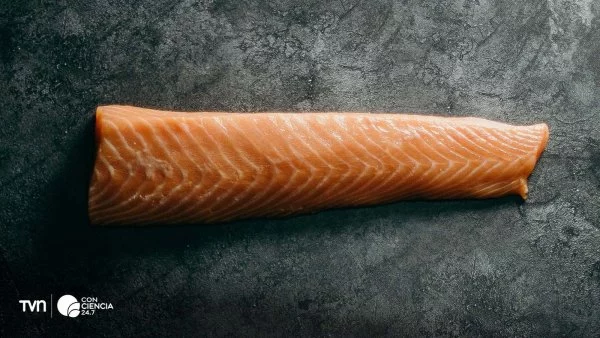 Suplementos nutricionales de omega-3, potencial tratamiento para mejorar la vida de pacientes celíacos.