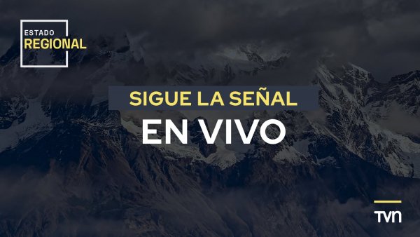 Estado Regional en TVN: Sigue EN VIVO la señal de tu región viernes 20 diciembre