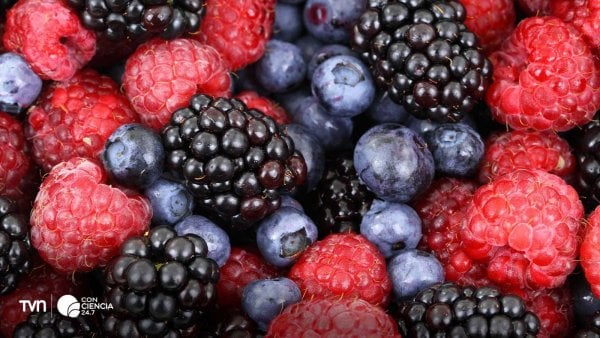 Variedad de frutas y verduras ricas en antioxidantes sobre una mesa.