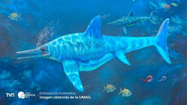 Ilustración de un ictiosaurio.