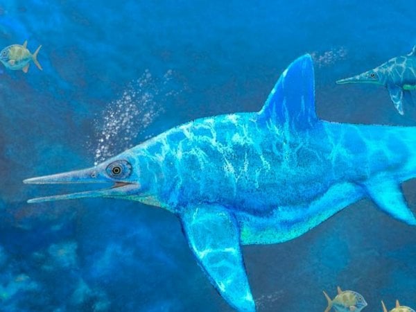 Ilustración de un ictiosaurio.