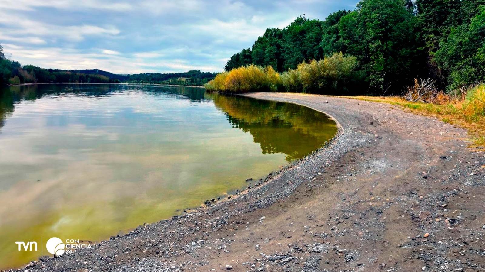 Lago Llanquihue con evidente contaminación.