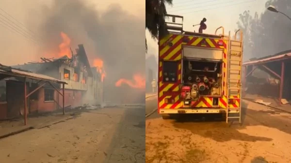 Incendio forestal consume liceo de Traiguén