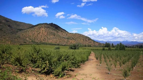 Suelos agrícolas.