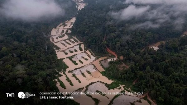 Vista aérea del Pantanal brasileño afectado por sequía extrema y reducción significativa de su superficie de agua en 2024.