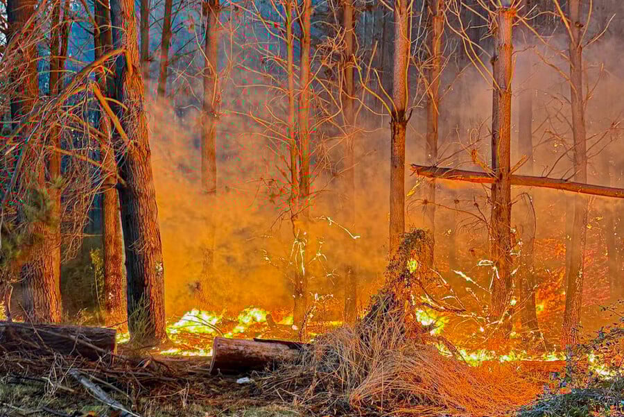 Incendio.