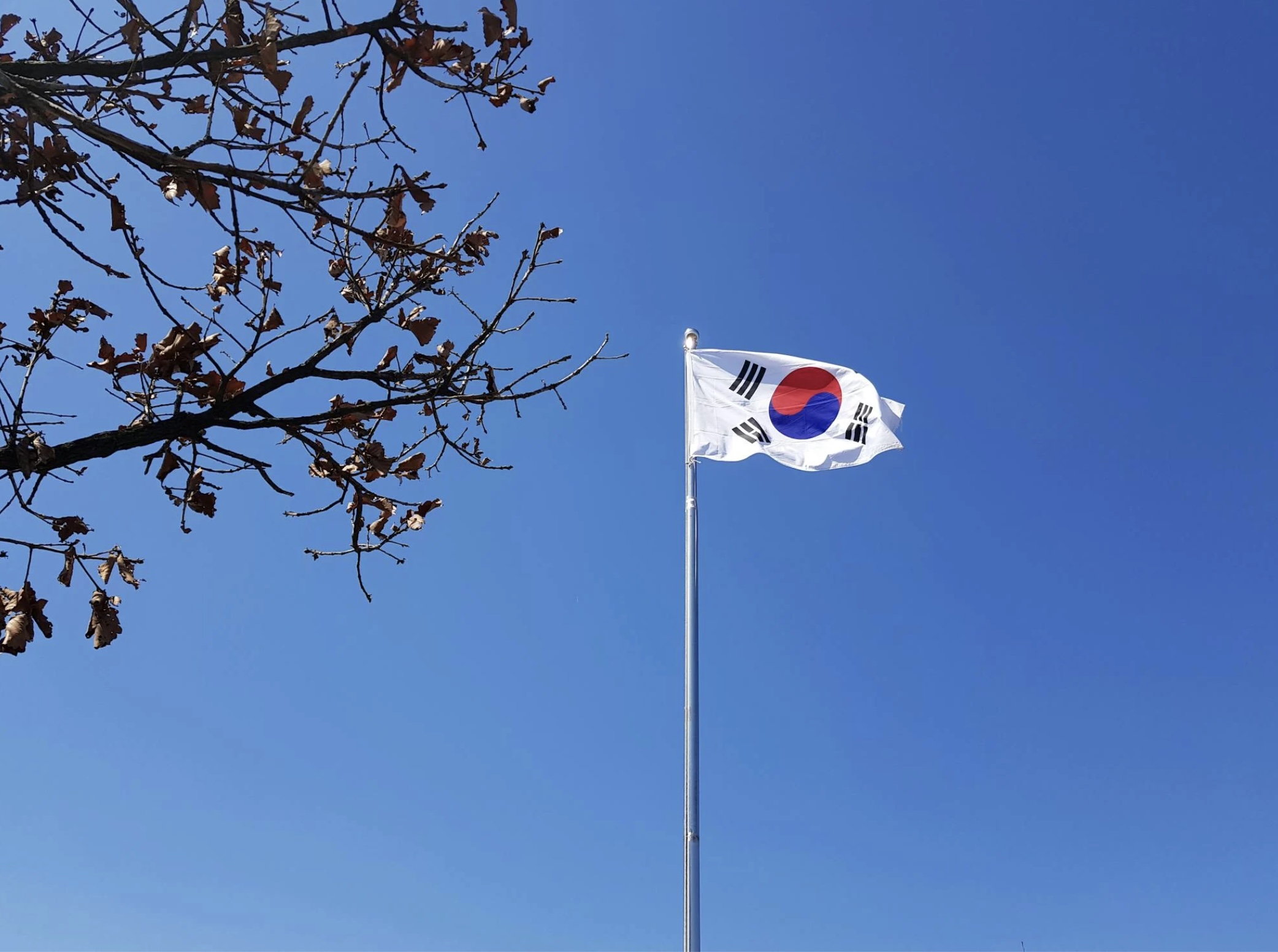 Bandera Corea del Sur