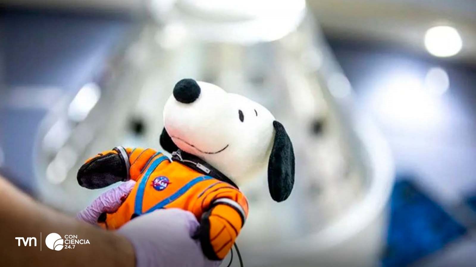 Peluche de Snoopy flotando en ingravidez dentro de la nave espacial Artemis I.