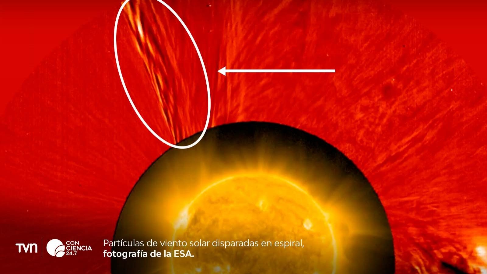 Imagen del Sol captada por Solar Orbiter mostrando el viento solar en forma helicoidal, extendiéndose por millones de kilómetros.