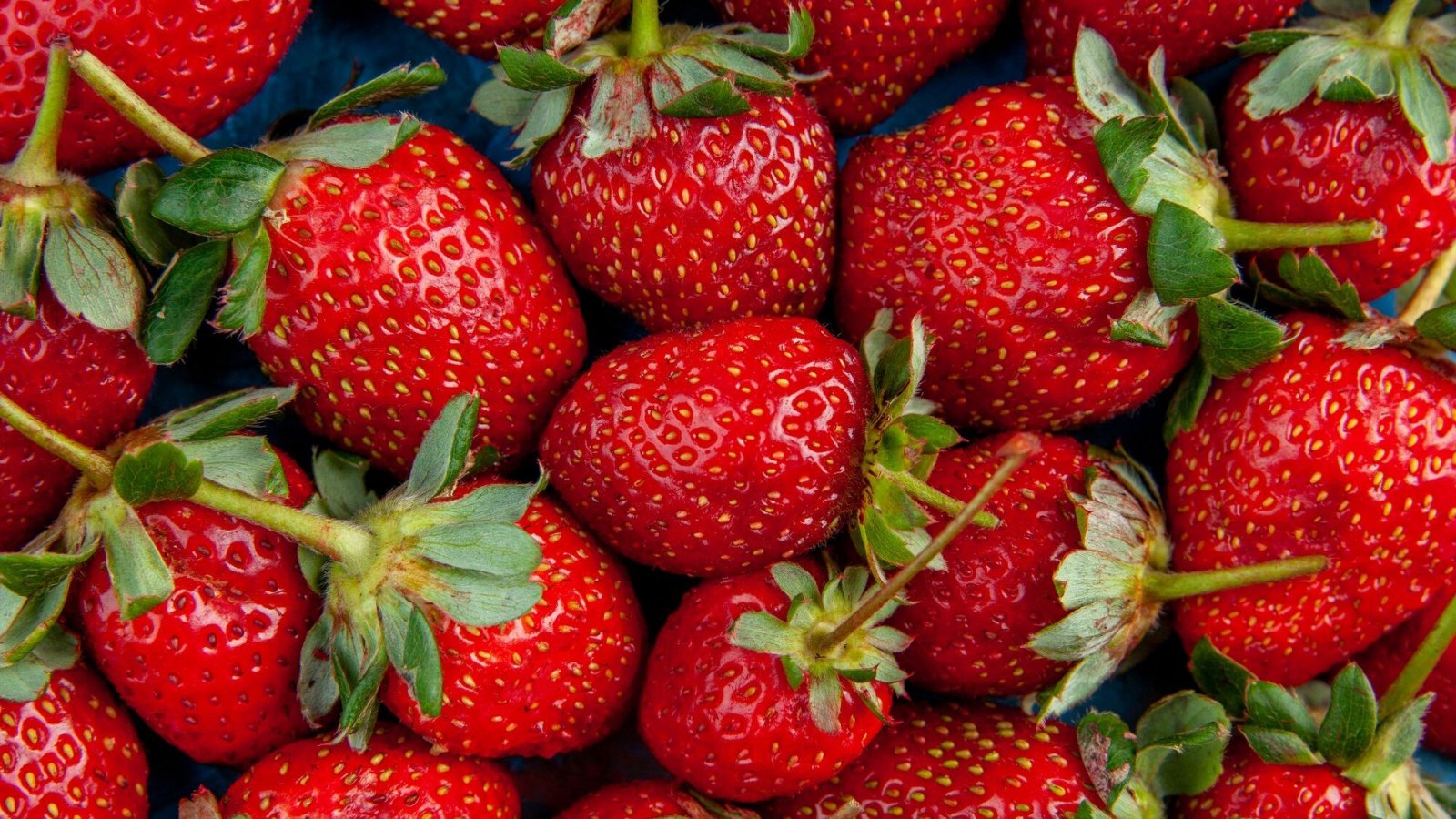 Frutillas