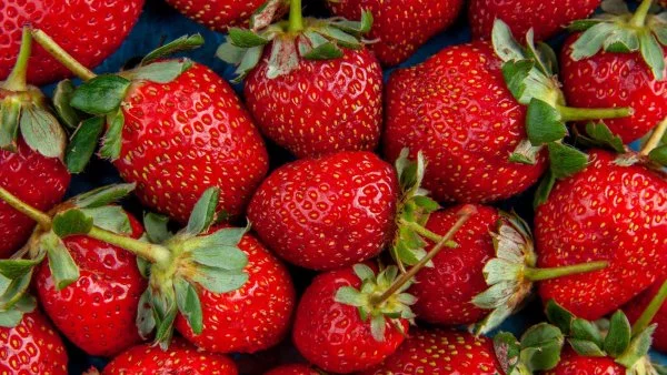 Frutillas