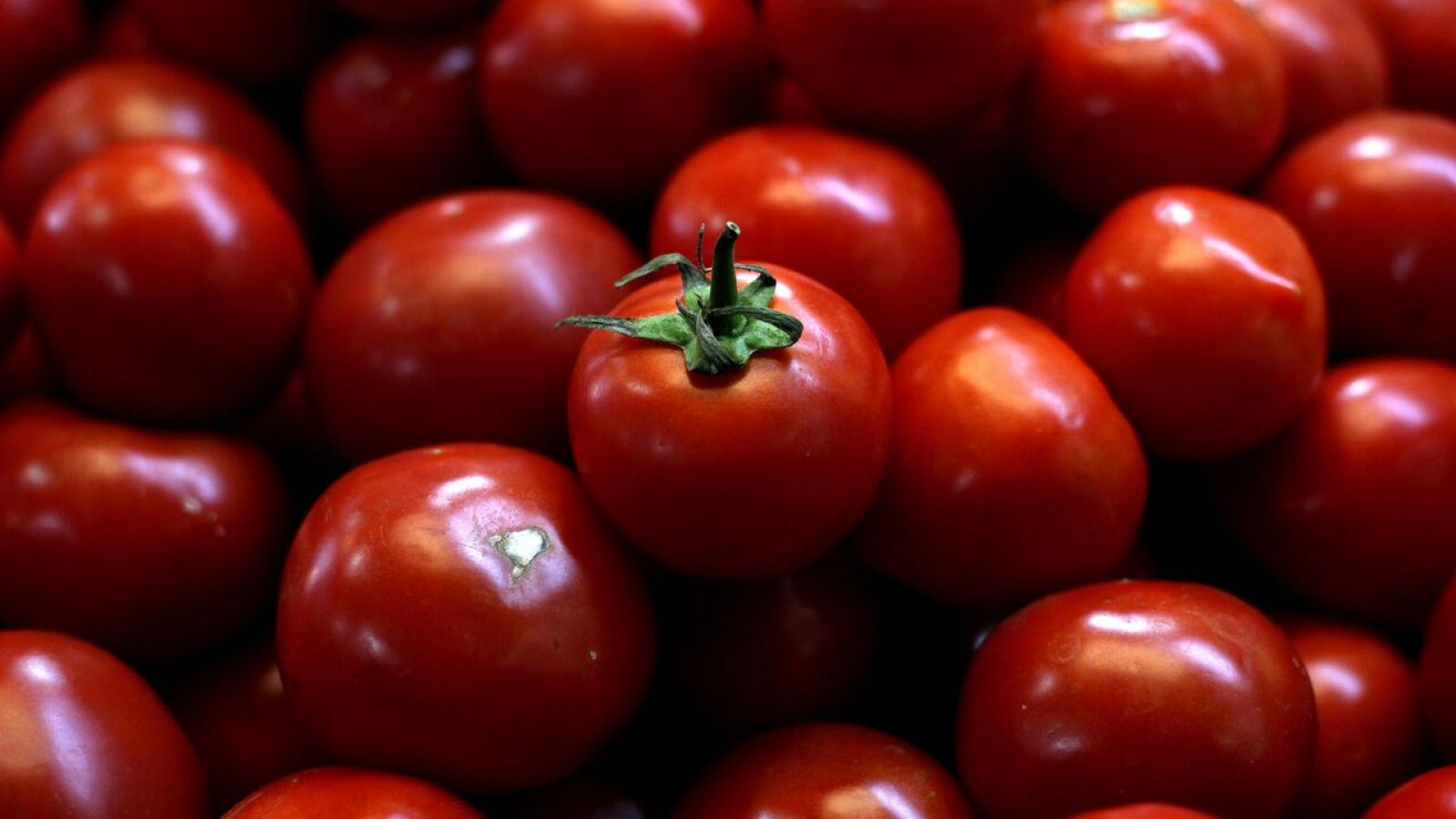 Tomates. Alza IPC