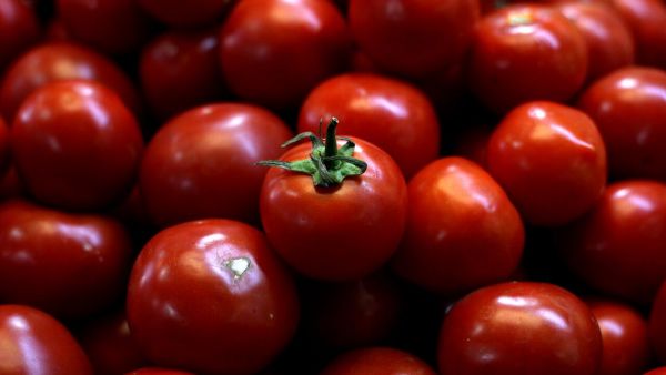 Tomates. Alza IPC