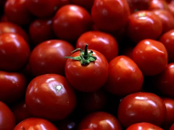 Tomates. Alza IPC
