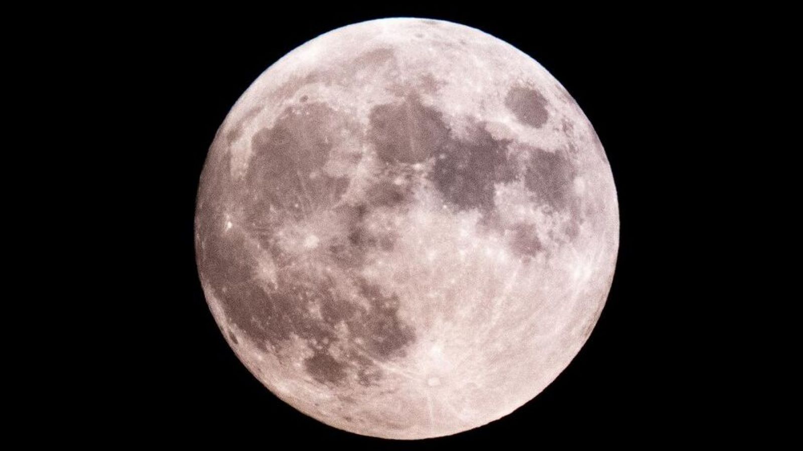 Luna rosa 2025