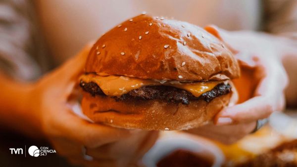 Niño frente a una mesa con alimentos ultraprocesados como hamburguesas, papas fritas y bebidas azucaradas.