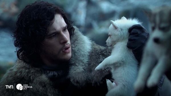 Jon Snow con un lobo gigante.