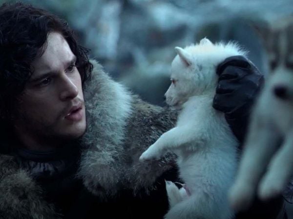 Jon Snow con un lobo gigante.