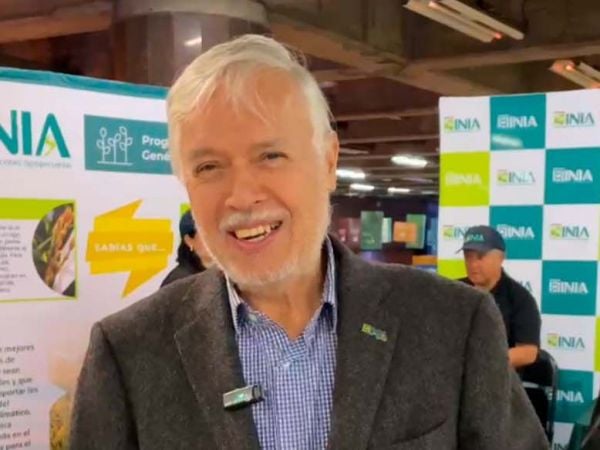 Stand del INIA en Metro Baquedano mostrando arroz negro Onix, harinas sin gluten y semillas nativas en el marco del aniversario 61 de la institución.