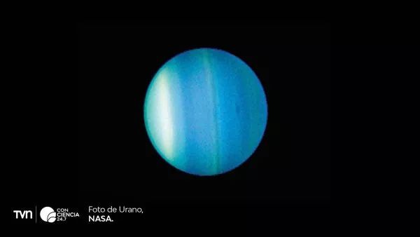 Imagen de Urano captada por el telescopio espacial Hubble, con sus auroras visibles cerca de los polos.