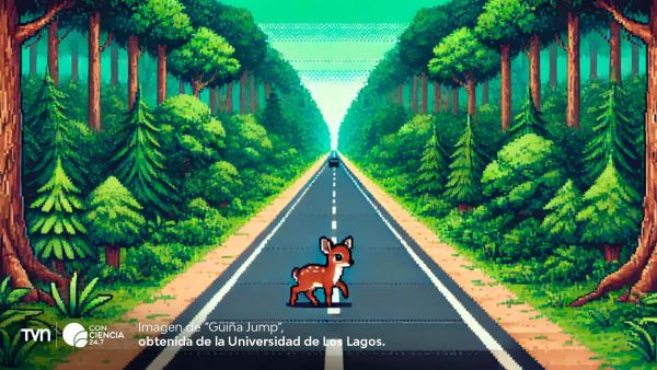 Estudiantes de ULagos desarrollan videojuego educativo 2D para proteger especies nativas de Chiloé como la güiña, el pudú y el chungungo.