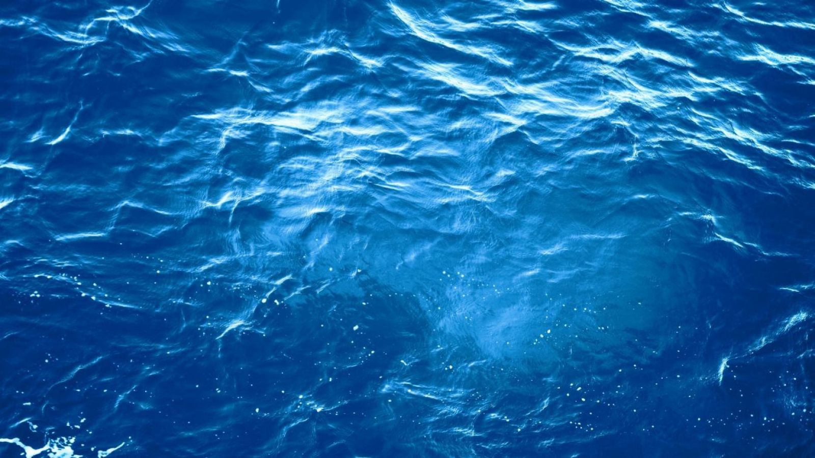 Ocean