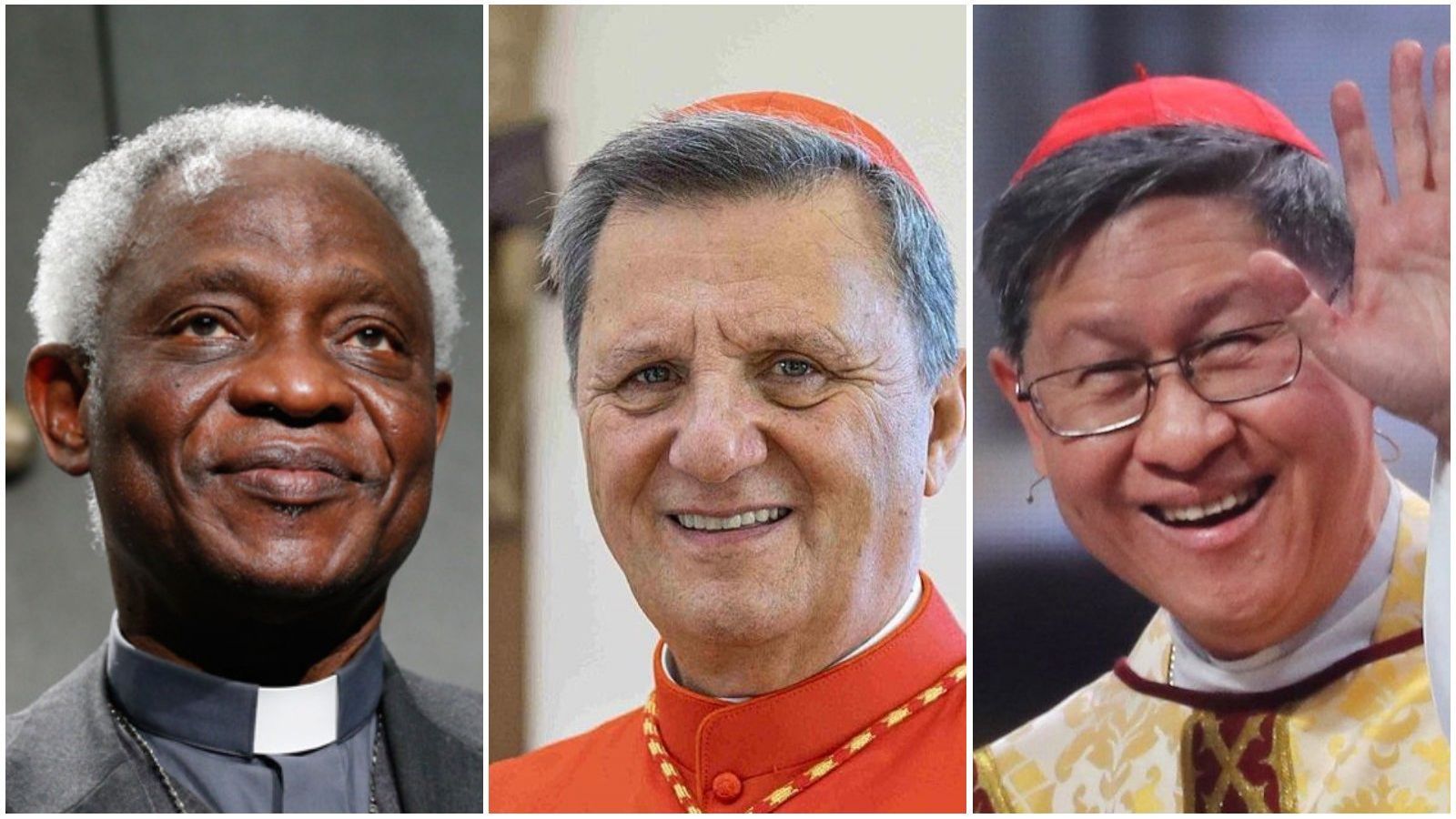 Candidatos para suceder a Papa Francisco