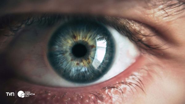 Simulación digital del color olo, un nuevo verde azulado descubierto con tecnología láser por científicos de la Universidad de California en Berkeley.