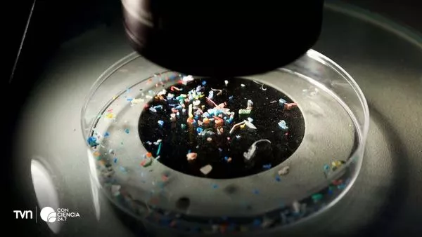 Microplásticos.