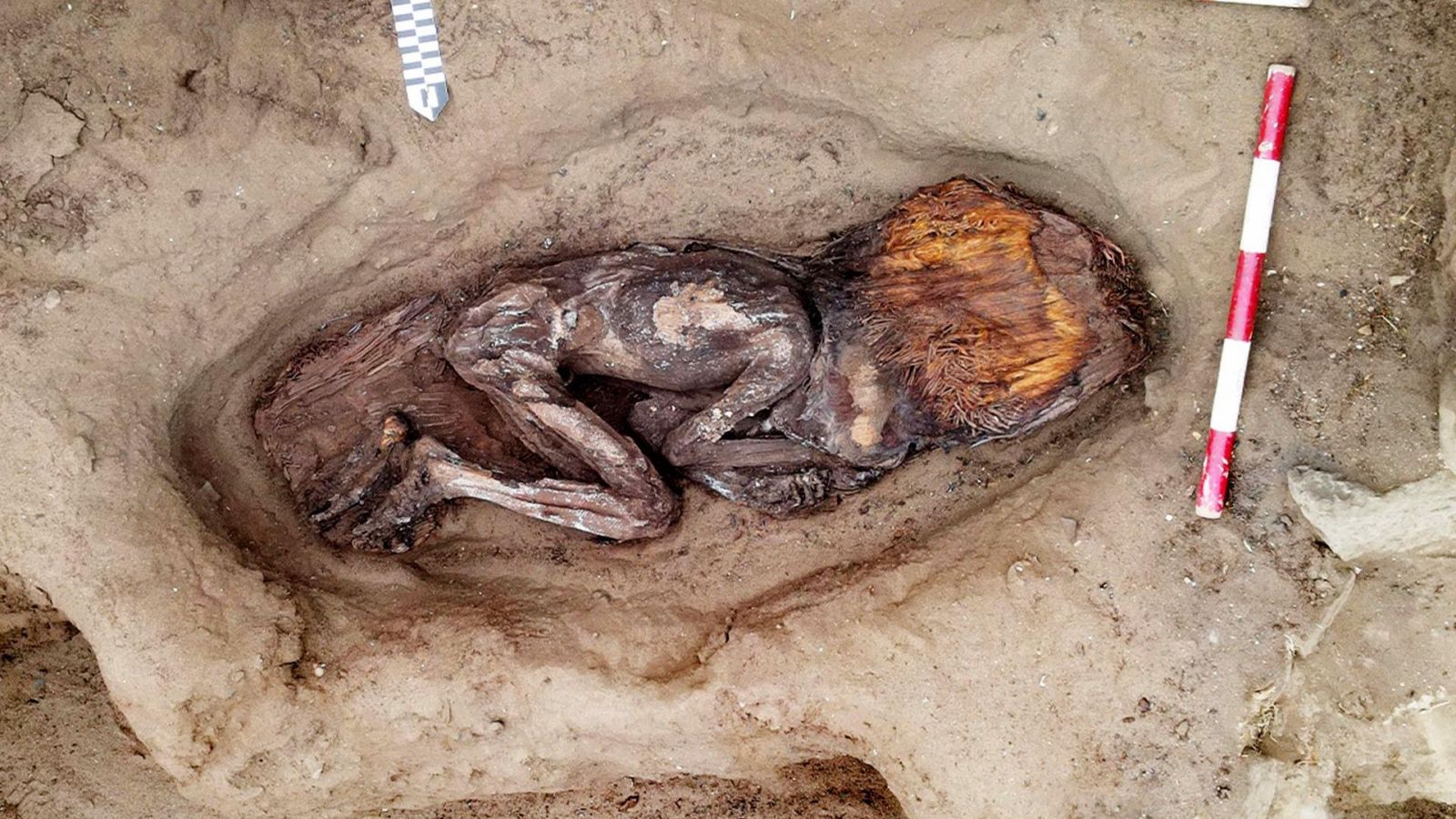 Tumba mujer de 5 mil años