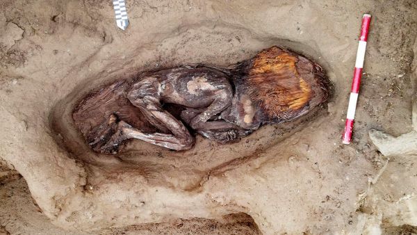 Tumba mujer de 5 mil años